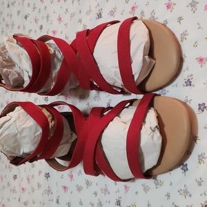 Torrid Sandals